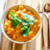 Veg & Chickpea Korma Curry