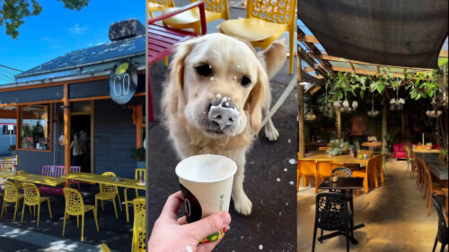 Dog Friendly Cafe Go! Geelong